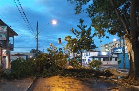 Chuva Em Araraquara Derruba árvores E Complica O Trânsito São Carlos