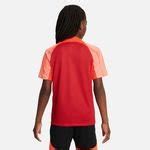 Nike Trikot Dri FIT Strike III Rot Rot Weiß Kinder unisportstore de