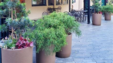 Sassafras Southern Bistro | Greenville, South Carolina, United States - Venue Report