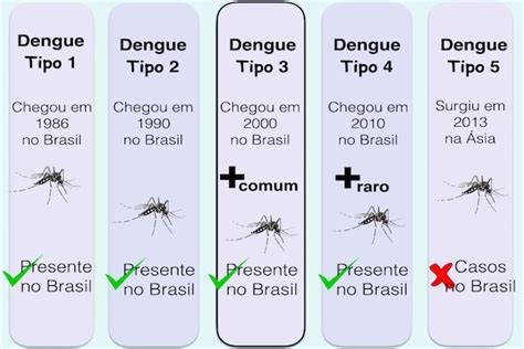 Tipos de dengue cuántos hay y dudas comunes Maestria Salud