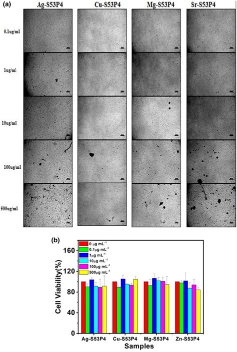 Cell Cytotoxicity Assay A Bright Field Photomicrographs Scale Bar