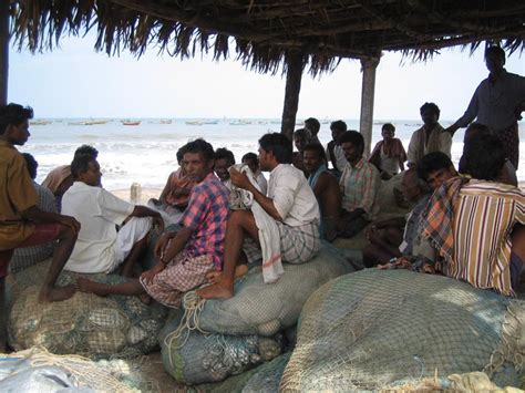 Fishermen At Fish Landing Centre ICSF