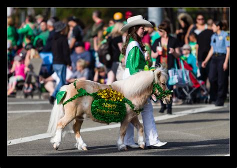 St Patrick’s Day Parade in Dublin | RobsBlogs