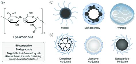 Overview Of Hyaluronic Acid HA Based Nanoparticles For Biomedical