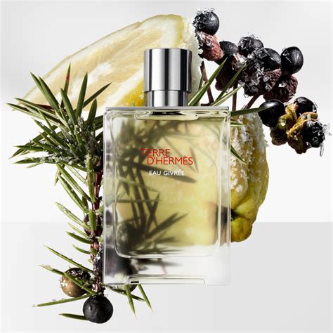 Beli Herm S Terre D Herm S Eau Givr E Eau De Parfum Sephora Indonesia