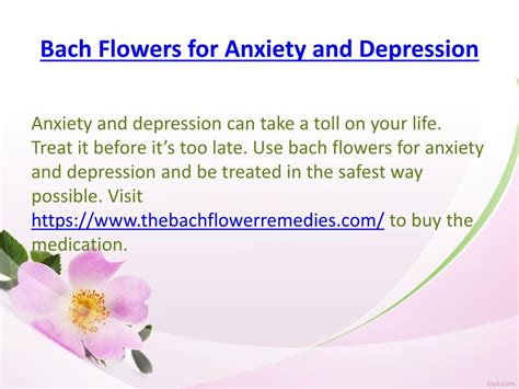 PPT - Bach Flowers for Anxiety and Depression - www ...