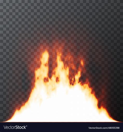 Realistic Fire Flames On Transparent Grid Vector Image