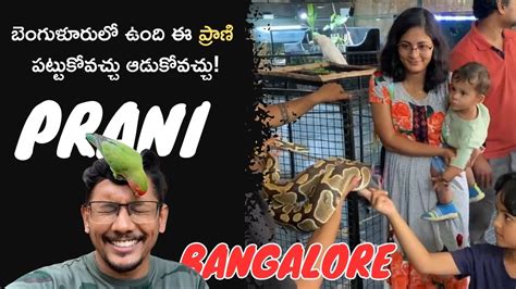 Prani Pet Sanctuary Bangalore Weekend Trips One Day Trip In