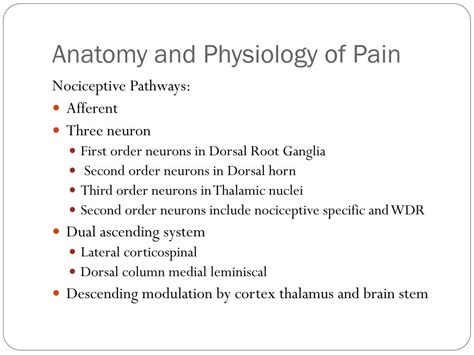 Ppt Pathophysiology Of Pain Treatment Of Acute Postoperative Pain