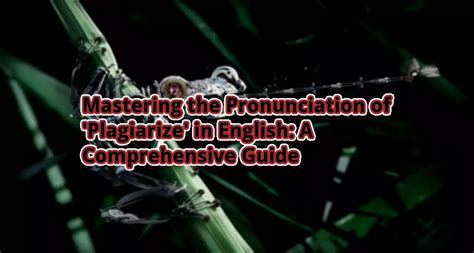 Mastering The Pronunciation Of Plagiarize In English A Comprehensive