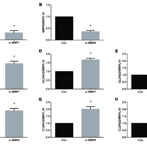 Quantitative Real Time Pcr Analysis Of Tight Junction Genes In