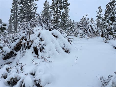 What you should know about the upcoming 90-acre Wellington pile burn in