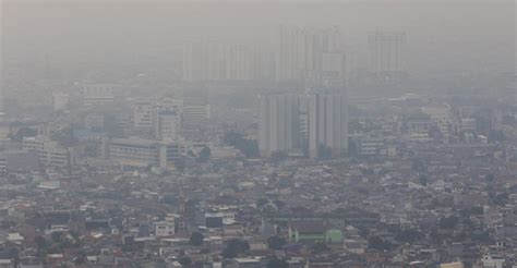 10 Ribu Warga Diduga Meninggal Akibat Polusi