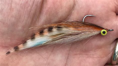 Fly Tying Bunny Clouser Minnow YouTube