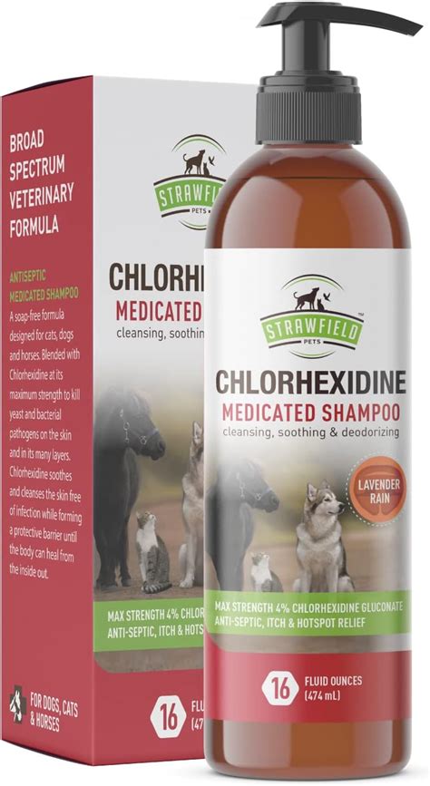 Strawfield Pets Chlorhexidine Shampoo For Dogs Cats 16 Oz Medicated