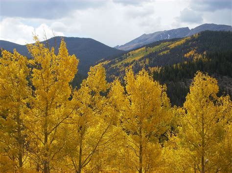 Fall Colors In Breckenridge Co 2024 Roveme