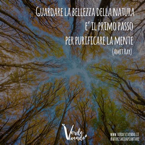 Aforismi Sulla Natura Frasi Proverbi Da Piantare Con Verde Vivendo