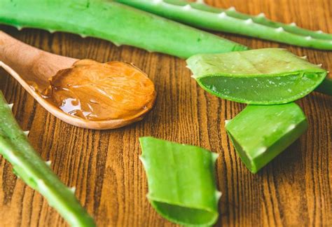 11 Best Herbs That You Must Use For Your Skin Care