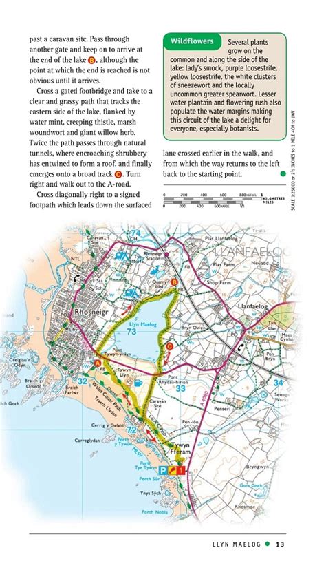 Walking Books Walk With Us In Wales And The Welsh Borders