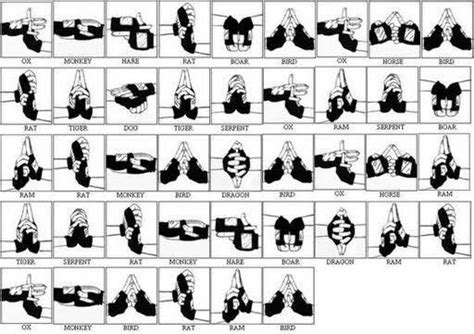 Naruto Hand Signs by MayoSalad56 on DeviantArt