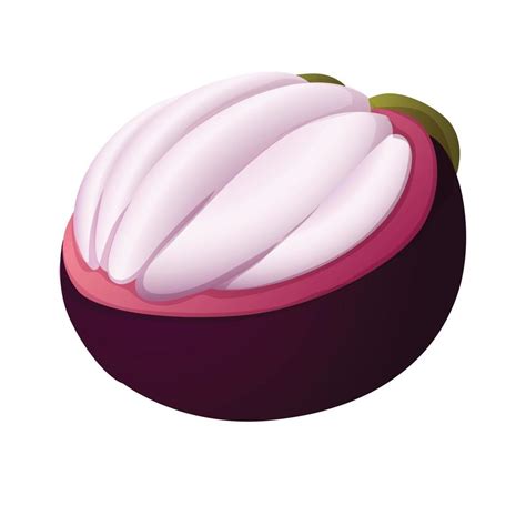 icono de fruta de mangostán estilo de dibujos animados 14669079 Vector