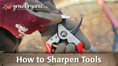 How To Sharpen Garden Loppers Step By Step Guide 2025