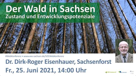 Der Wald In Sachsen Zustand Und Entwicklungspotenziale Wald