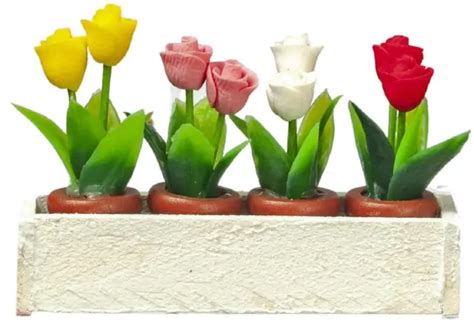 Maison De Poup Es Blanc Fen Tre Bo Te Avec Pots De Roses Jardin