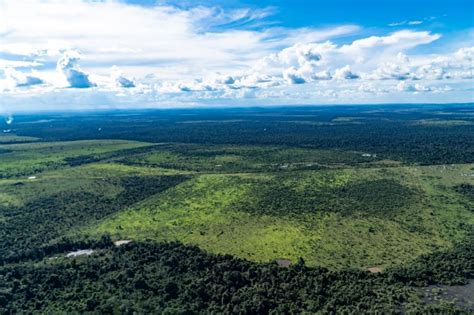 Semas Munic Pios Paraenses Apresentam Redu O De Nos Alertas De