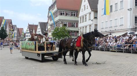 Bilder Bunter Festzug 2023 Biberacher Schützenfest