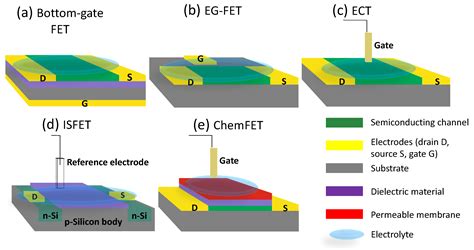 Sensors Free Full Text Field Effect Transistor Based Biosensors For Environmental And