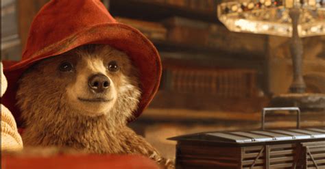 Paddington 3 REVEALS new set of cast • AWSMONE