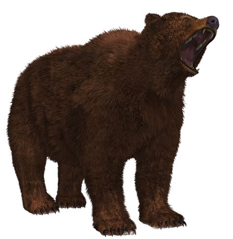 Brown Bear 02 Png Stock By Roy3d On Deviantart