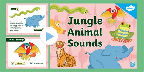 Animal Sound Guessing Game | Twinkl (teacher made)