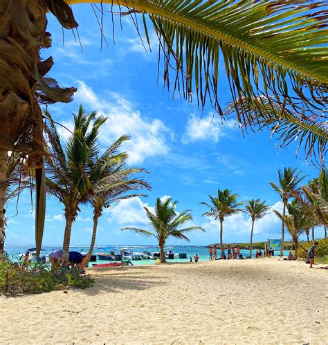 Location Villa Guadeloupe Villa Bikini Une Adresse Retenir