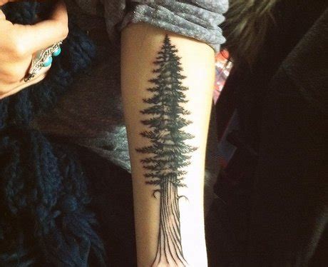 Forearm Redwood Tree Tattoos