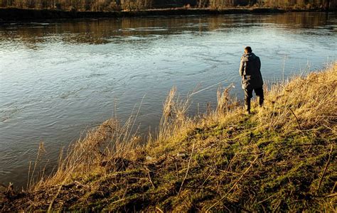 Angeln Im Fluss Fischverhalten Angelstellen K Derf Hrung Simfisch De