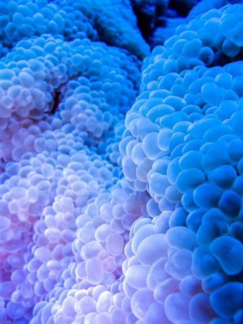 Biotech growth will significantly increase the lab assistant salary 28