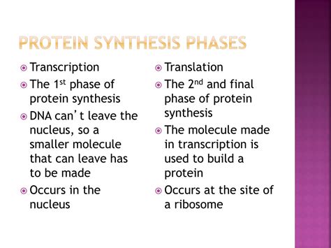 Ppt Dna Rna And Protein Synthesis Powerpoint Presentation Free