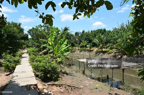 Mekong River Delta High-Res Stock Photo - Getty Images