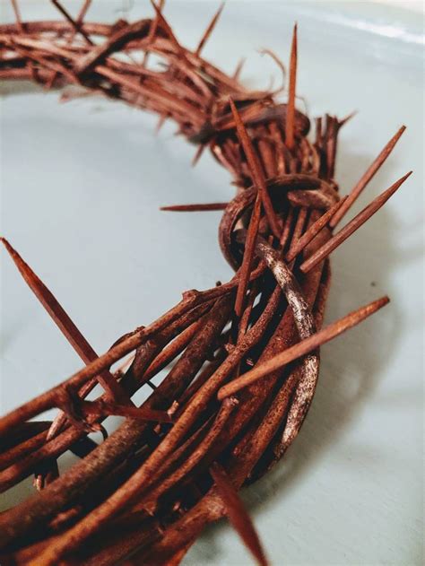 Lenten Crown Of Thorns Wreath Etsy