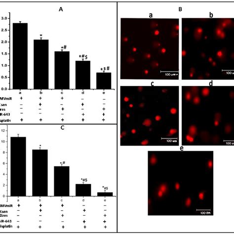 Effect Of APOL6 Knockdown On MiR 643 Mediated Alteration In Cisplatin