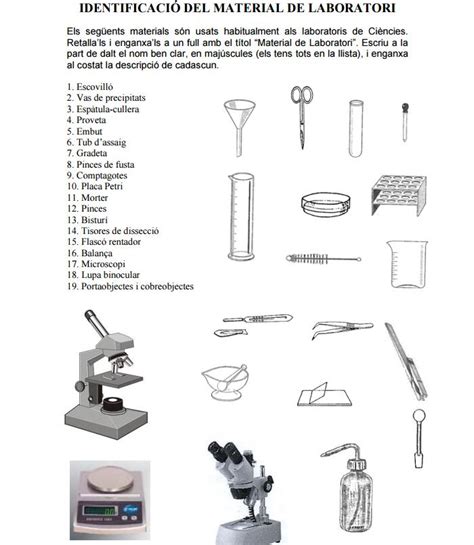 Biología Y Geología Toni 1º Eso Tema 1 MÉtodo CientÍfico