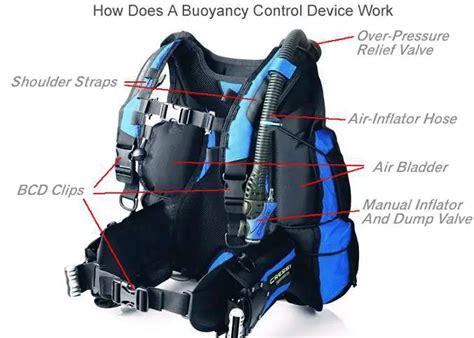 What Is A Buoyancy Control System A Deep Dive Into Underwater