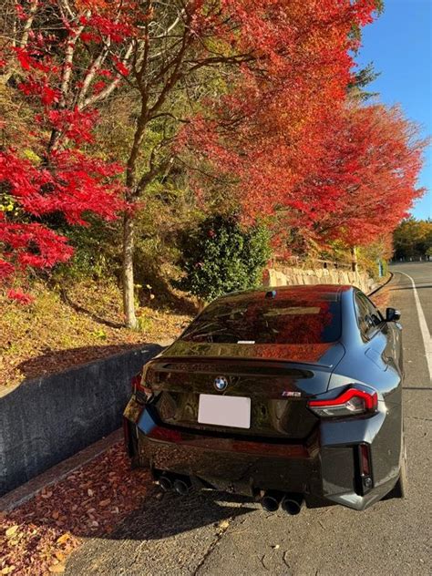 Tiamoのフォトギャラリー「紅葉🍁」 Bmw M2 クーペ みんカラ