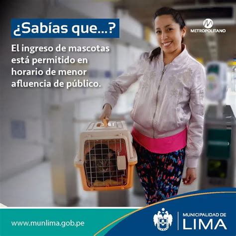 Quieres Llevar A Tu Mascota En El Metropolitano ATU Brinda Consejos