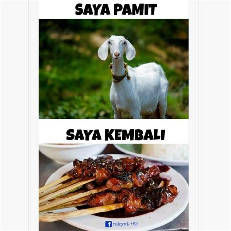 Populer Saat Ini Meme Idul Adha Hewan Qurban Lucu Bikin Ngakak