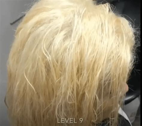 Blonde Hair Toners Before And After Ugly Duckling