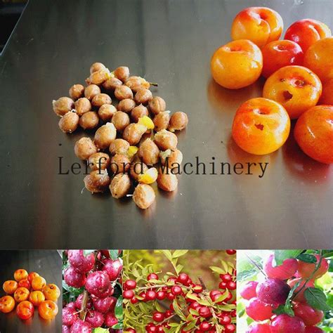 F Brica De Proveedores De M Quinas Cherry Destoner De China Precio De