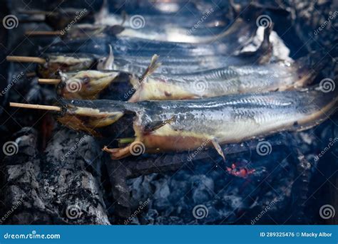 Grilled Catfish Or Inihaw Na Hito Or Pantat Stock Photo Image Of